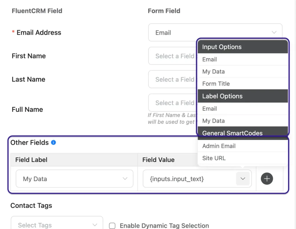 fluent forms custom fields mapping